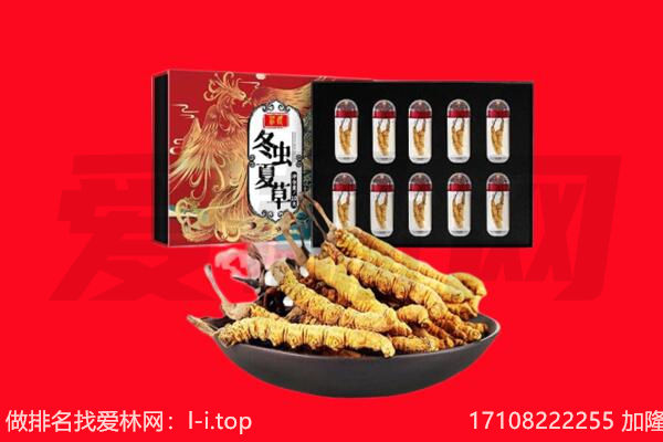 安顺紫云县回收虫草.jpg